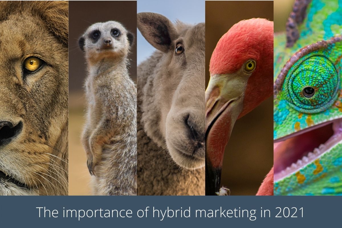 The importance of hybrid marketing in 2021